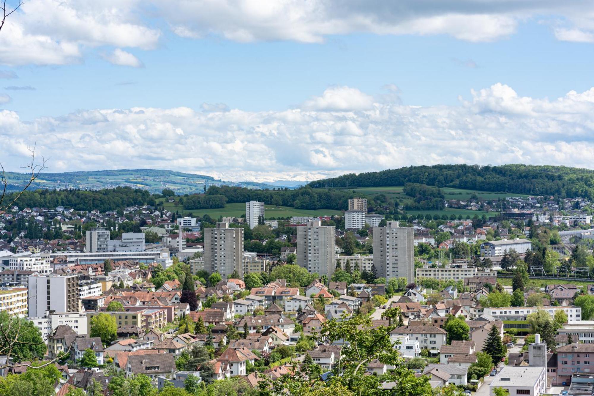 Tiny House Chez Claudine - Relaxen, Workspace, Naehe Thermen, Netflix, Free Parking & Wifi Brugg  Eksteriør bilde