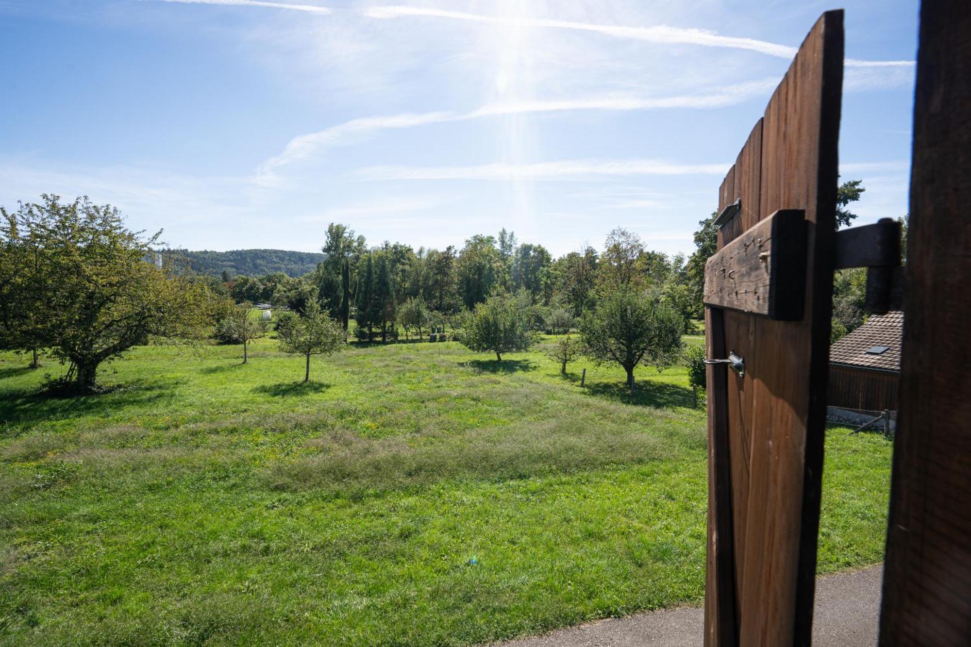 Tiny House Chez Claudine - Relaxen, Workspace, Naehe Thermen, Netflix, Free Parking & Wifi Brugg  Eksteriør bilde